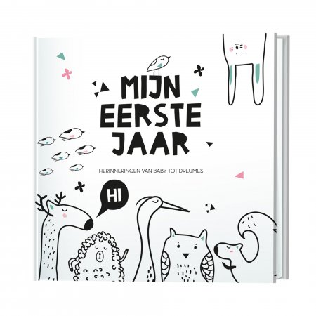 Mijn eerste jaar