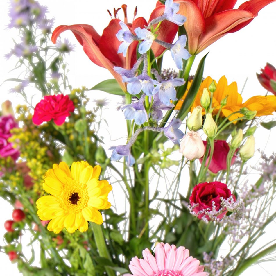 Plukboeket Noor