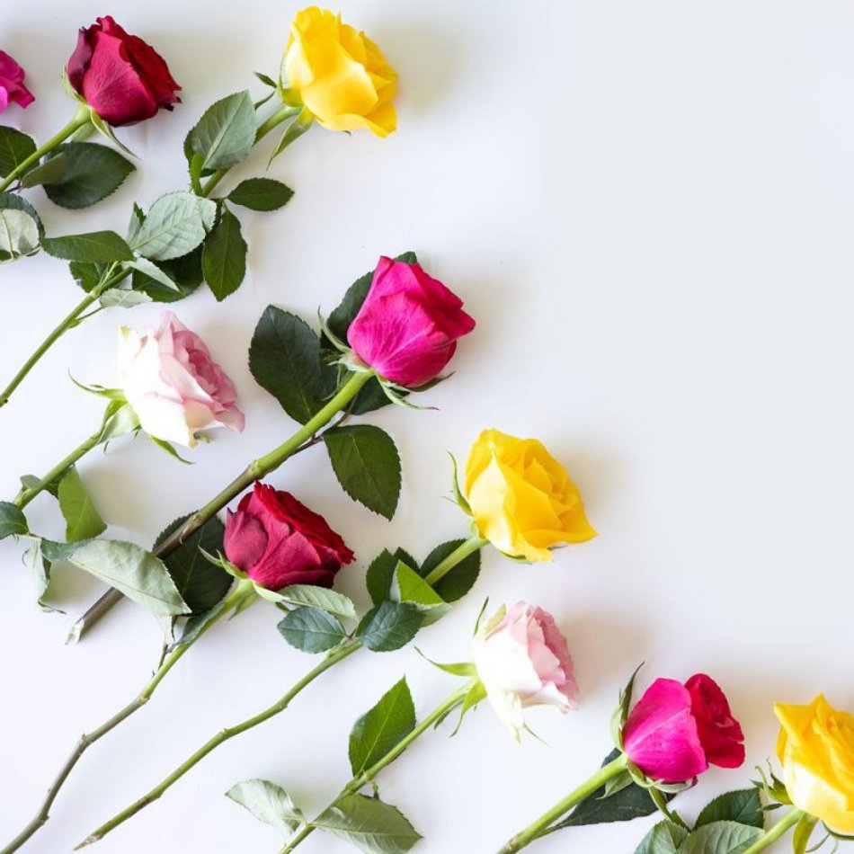 Rozen Mix